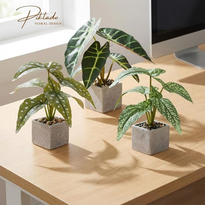 3pcs Small Fake Plants Artificial Begonia Leaves Faux Plants Indoor for Office Desk Shelf Bathroom Home Decor