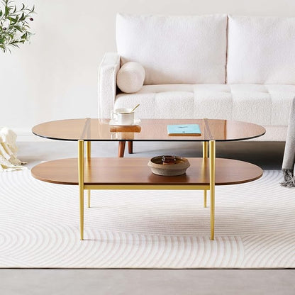 LumFurn Oval Glass Coffee Table, Mid-Century Modern Design, L41 x W21 x H17 inch, for Living Room, 2-Tier Structure, Amber Glass Top and Walnut Finish Wood Shelf, Conical Legs with Gold Finish Frame