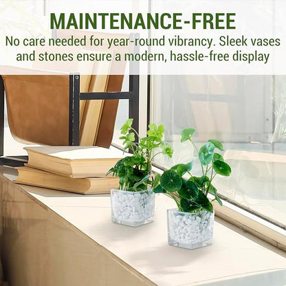 MyGift Artificial Clover and Taro Plants in Clear Glass Vase with Decorative White Stones, Set of 3