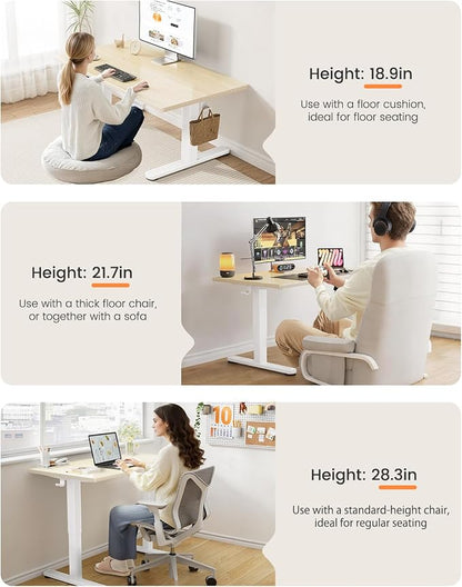 ErGear Low Height Adjustable Desk, Lifts 18.9-28.4 Inches, 48 X 24 Inches Electric Standing Desk for Kids, 4 Height Memory Settings & Storage Hooks, Home Office Computer Table & Study Desk, Natural