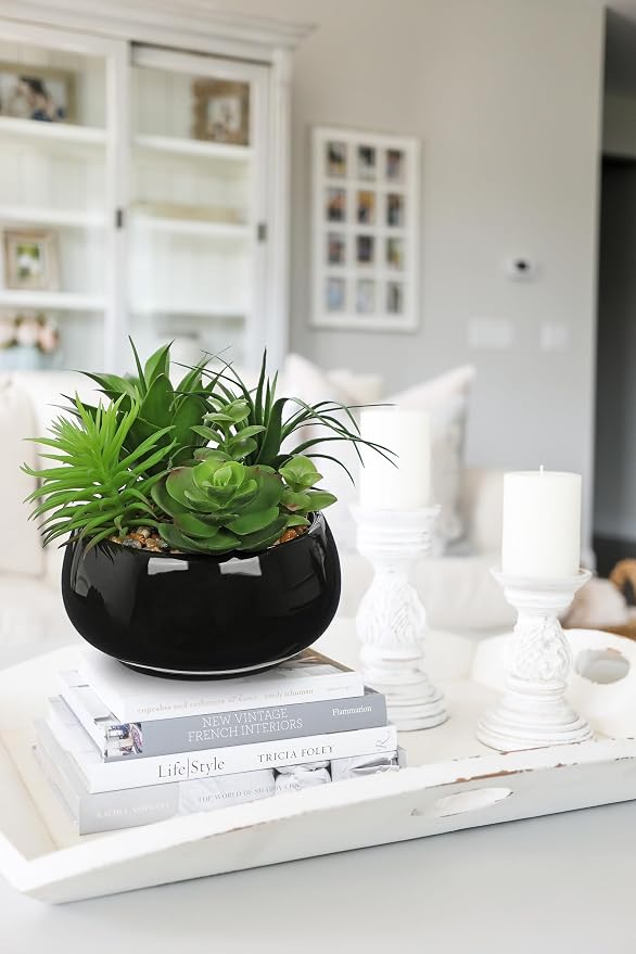 Hollyone Artificial Succulents in Pots Fake Plants Faux Succulent Arrangement Potted Plant in Vase Black Ceramic Planter Bowl for Office Desk Bathroom Shelf Living Room Indoor Outdoor Home Decor