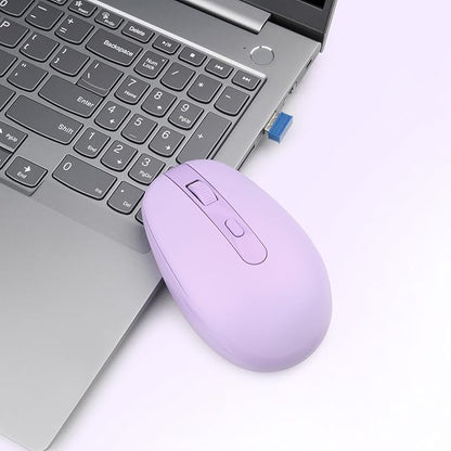 Rii Wireless Mouse RM700 2.4G Silent Mouse with USB Nano Receiver for Laptop,PC,Mac,Chromebook,Windows (Purple)