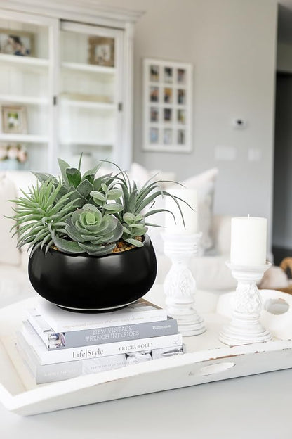 Hollyone Artificial Succulents in Pots Fake Plants Faux Succulent Flowers Arrangement Potted Plant in Vase Black Ceramic Planter Bowl Office Desk Bathroom Shelf Indoor Outdoor Home Decor(Sage Green)