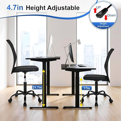 FDW Home Office Chair Mid Back Mesh Desk Chair Armless Computer Ergonomic Task Rolling Swivel Chair Back Support Adjustable Modern with Lumbar Support,Dark Black