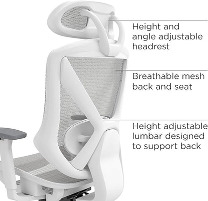 STAPLES Ergonomic Task Chair, Mesh, Ergonomic, Lumbar Support, Gray