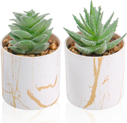 Der Rose Set of 2 Succulents Plants Artificial Mini Fake Succulents Plants for Home Office Desk Accessories for Women