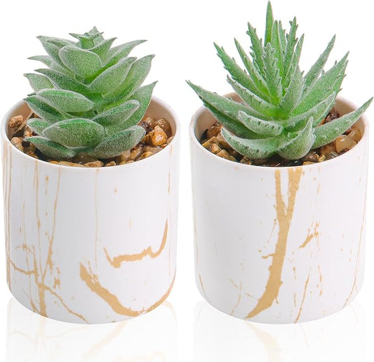 Der Rose Set of 2 Succulents Plants Artificial Mini Fake Succulents Plants for Home Office Desk Accessories for Women