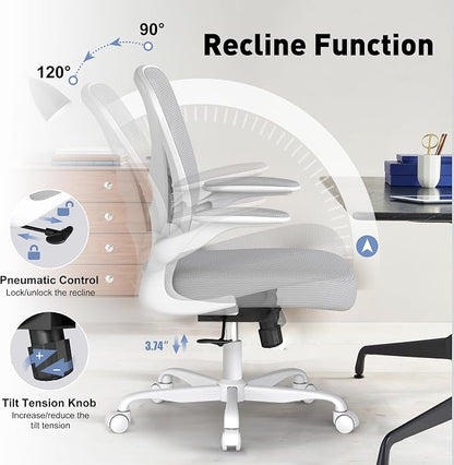 Ergonomic Office Chair with Adjustable Lumbar Support, 300 lbs Swivel Desk Chair with Flip-Up Arms, Mesh Comfy Padded Seat for Computer and Home, Grey