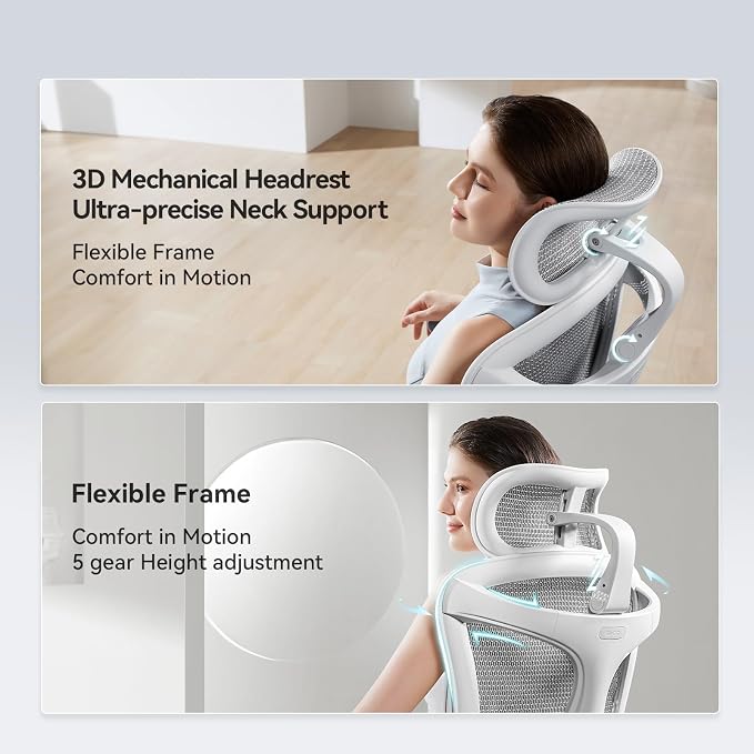 SIHOO Doro C300 Pro Ergonomic Office Chair with Footrest, Ultra-Soft 6D Armrests, Dynamic Lumbar Support, Seat Depth Adjustment and Adjustable Backrest, Big and Tall Desk Chair 2 Packs (Grey)