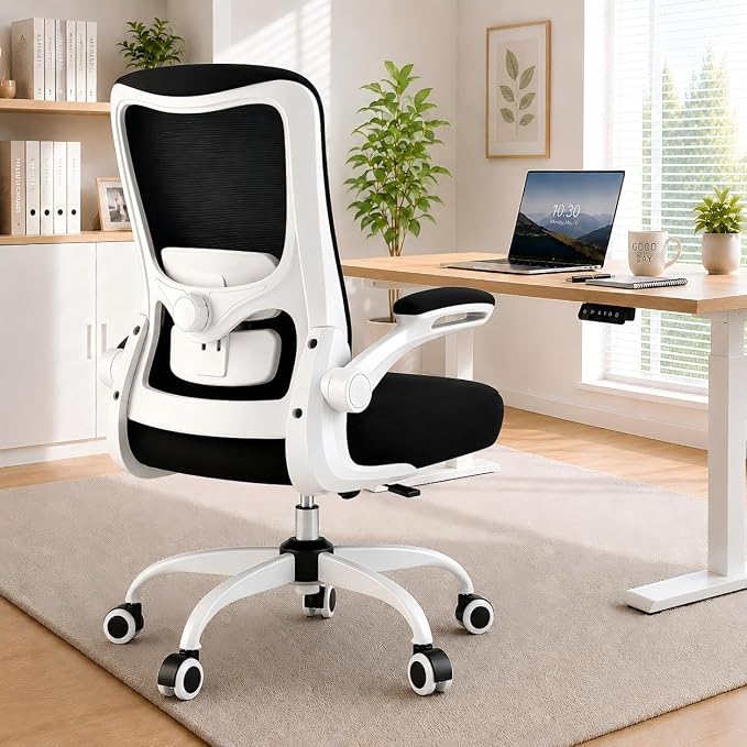 Ergonomic Office Chair for Long Hours, Padded Lumbar Support for Lower Back Relief, 330 lb Capacity, Comfortable Computer Desk Chair for Home Office, Computer & Study