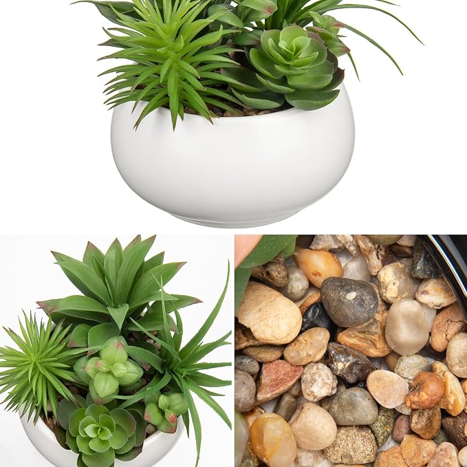Hollyone Fake Plants Artificial Succulents in Pots Faux Succulent Arrangement Potted Plant in White Ceramic Planter Bowl for Home Decor Office Desk Bathroom Shelf Living Room Indoor Decorations