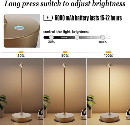 Rechargeable Cordless Table Lamp, Portable Powered LED Battery 6000mAh Metal USB Desk Lamp, 3 Levels Brightness Light for Restaurants Outdoor (Titanium)