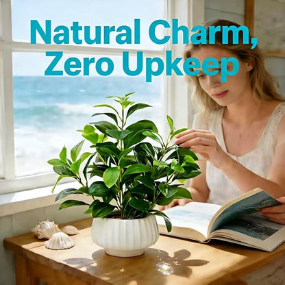 Artificial Peperomia Plants 16.5” Tall Lifelike Faux Greenery in 6” White Ribbed Ceramic Planter Realistic Indoor Fake Potted Plant for Home Office Desk Shelf Bathroom Bedroom Farmhouse Decor
