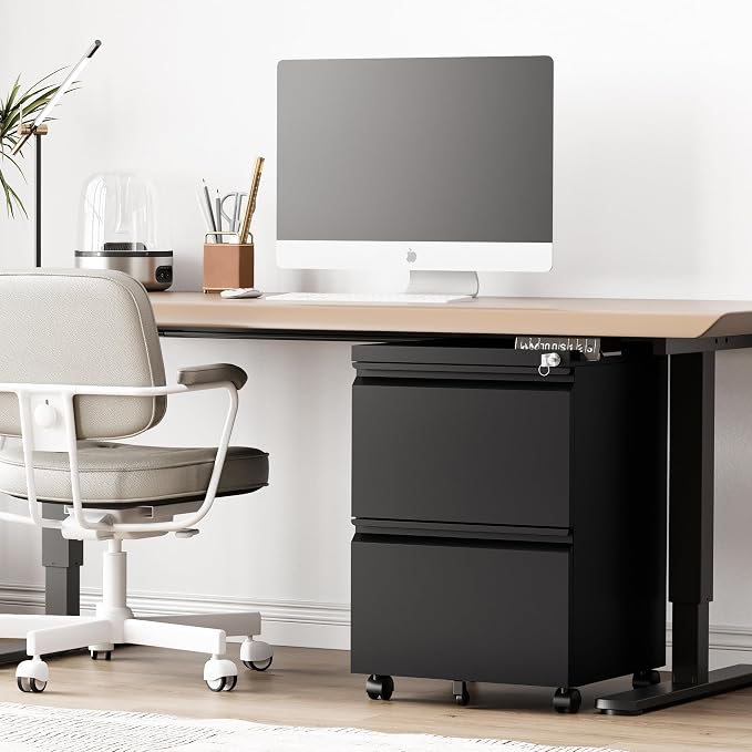 RAVIGIN 2 Drawer File Cabinet，Mobile Filing Cabinet with Lock and Wheels，Fully Assembled Metal Under Desk File Cabinets for A4/Letter/Legal Size（Black