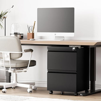 RAVIGIN 2 Drawer File Cabinet，Mobile Filing Cabinet with Lock and Wheels，Fully Assembled Metal Under Desk File Cabinets for A4/Letter/Legal Size（Black