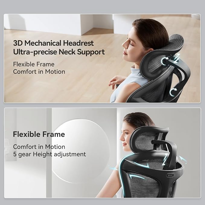 SIHOO Doro C300 Pro Ergonomic Office Chair with Ultra-Soft 6D Armrests, Dynamic Lumbar Support, Seat Depth Adjustment, Adjustable Backrest, Big and Tall Desk Chair 2 Packs (Black)