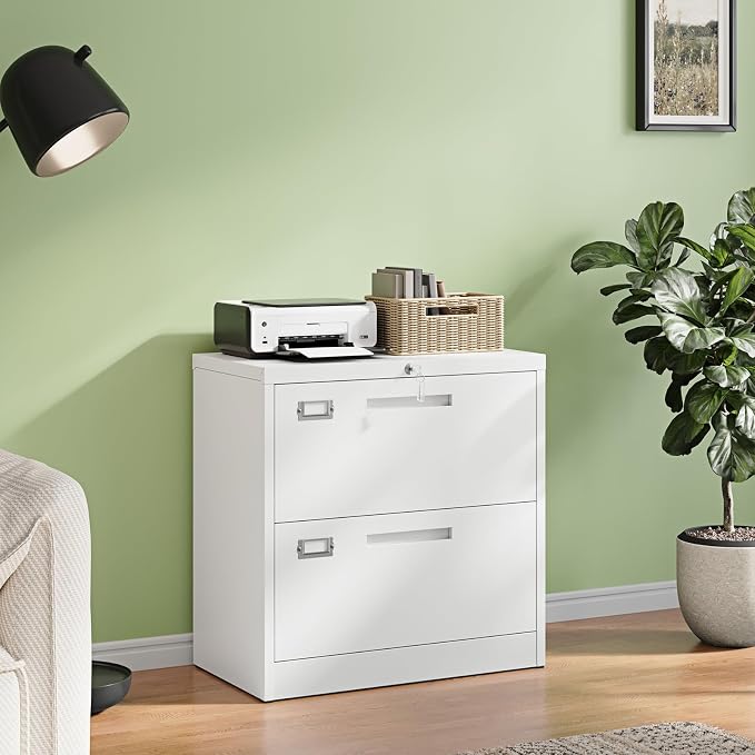 Letaya 2 Drawer File Cabinet with Lock,Metal Lateral Filing Cabinet for Home Office,Hanging Letter/Legal/A4 Size (White, H27.95×W28.35×D15.74)