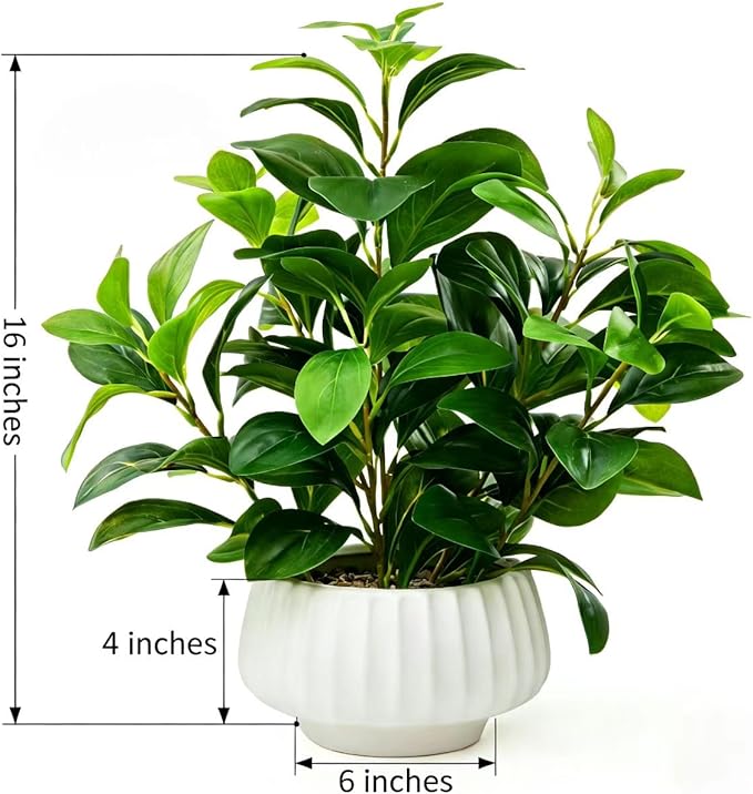 Artificial Peperomia Plants 16.5” Tall Lifelike Faux Greenery in 6” White Ribbed Ceramic Planter Realistic Indoor Fake Potted Plant for Home Office Desk Shelf Bathroom Bedroom Farmhouse Decor