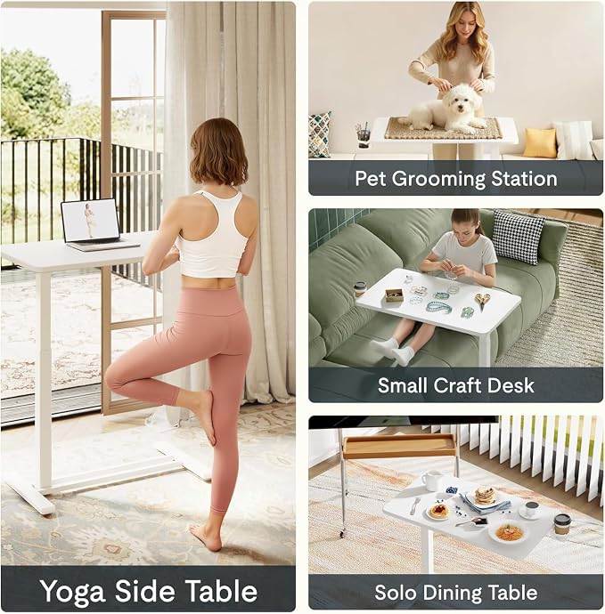 FLEXISPOT Mobile Standing Desk with Wheels Pneumatic Laptop Desk Rolling Computer Cart Movable Height Adjustable Small Sit Stand Desk Computer Workstations Home Use（27.6" W x 15.7" D,White）