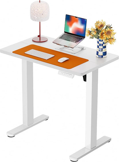ErGear Height Adjustable Electric Standing Desk, 32 x 19 Inches Sit Stand up Desk with Memory Presets, Computer Home Office Desk, White