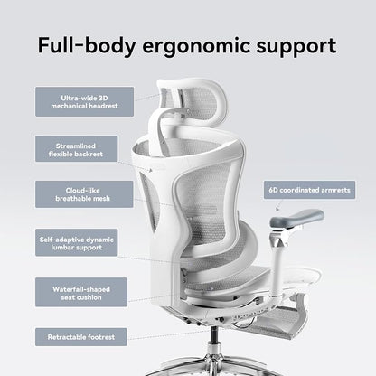 SIHOO Doro C300 Pro Ergonomic Office Chair with Footrest, Ultra-Soft 6D Armrests, Dynamic Lumbar Support, Seat Depth Adjustment and Adjustable Backrest, Big and Tall Desk Chair 2 Packs (Grey)
