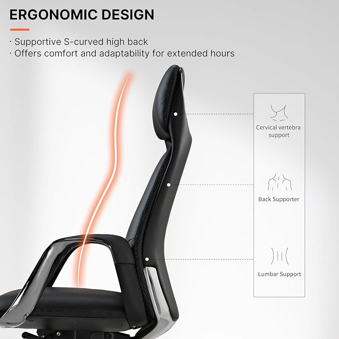 EUREKA ERGONOMIC Serene Executive Office Chair, Premium Nappa Leather High Back Boss Chair with Aluminum Base, Ergonomic Chair with Lumbar Support & Recline, Heavy Duty for Long-Hour Comfort, Black