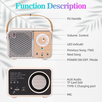 Dosmix Retro Bluetooth Speaker, Vintage Decor, Wireless Bluetooth Speakers, Cute Old Fashion Style for Kitchen Desk Bedroom Office Party Outdoor Kawaii Accessories (Smoke Green)