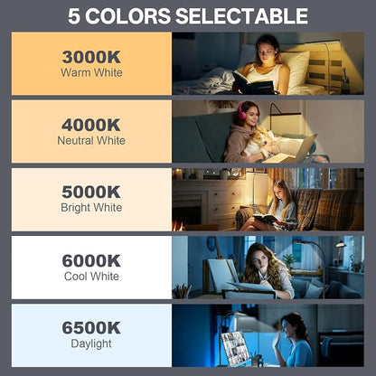 Kary LED Desk Lamp with Base,Eye-Care Architect Light for Home Office,12W Task Lamp with Adjustable Flexible Gooseneck USB Adapter Touch Control 5 Dimmable Color & Brightness Tall Lamp for Work,Study