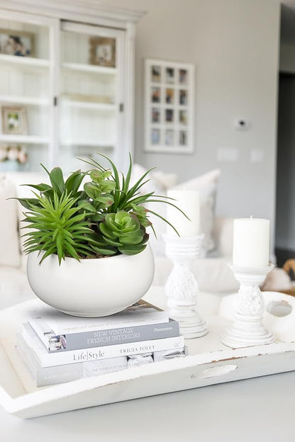 Hollyone Fake Plants Artificial Succulents in Pots Faux Succulent Arrangement Potted Plant in White Ceramic Planter Bowl for Home Decor Office Desk Bathroom Shelf Living Room Indoor Decorations