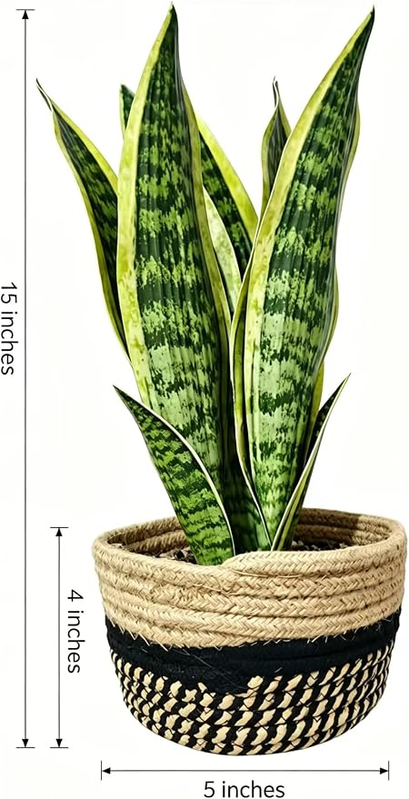 15" Artificial Snake Plant in Black Woven Planter Realistic Faux Sansevieria with Lush Green Leaves Modern Fake Potted Decor for Home Office Living Room and Bedroom