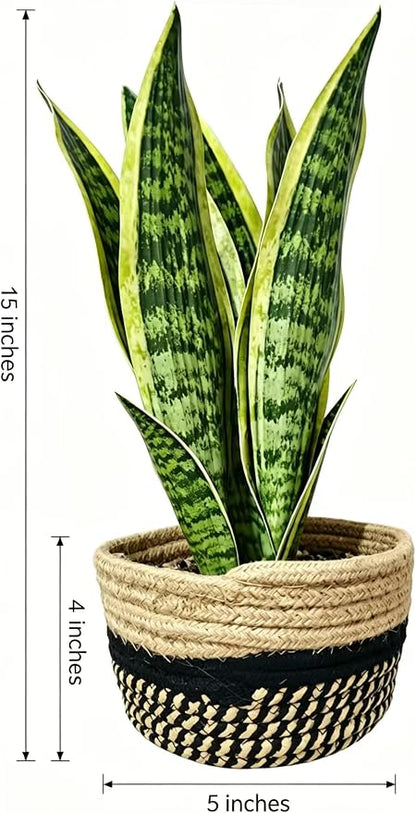 15" Artificial Snake Plant in Black Woven Planter Realistic Faux Sansevieria with Lush Green Leaves Modern Fake Potted Decor for Home Office Living Room and Bedroom