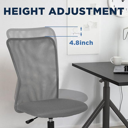 FDW Home Office Chair Mid Back Mesh Desk Chair Armless Computer Ergonomic Task Rolling Swivel Chair Back Support Adjustable Modern with Lumbar Support,Grey