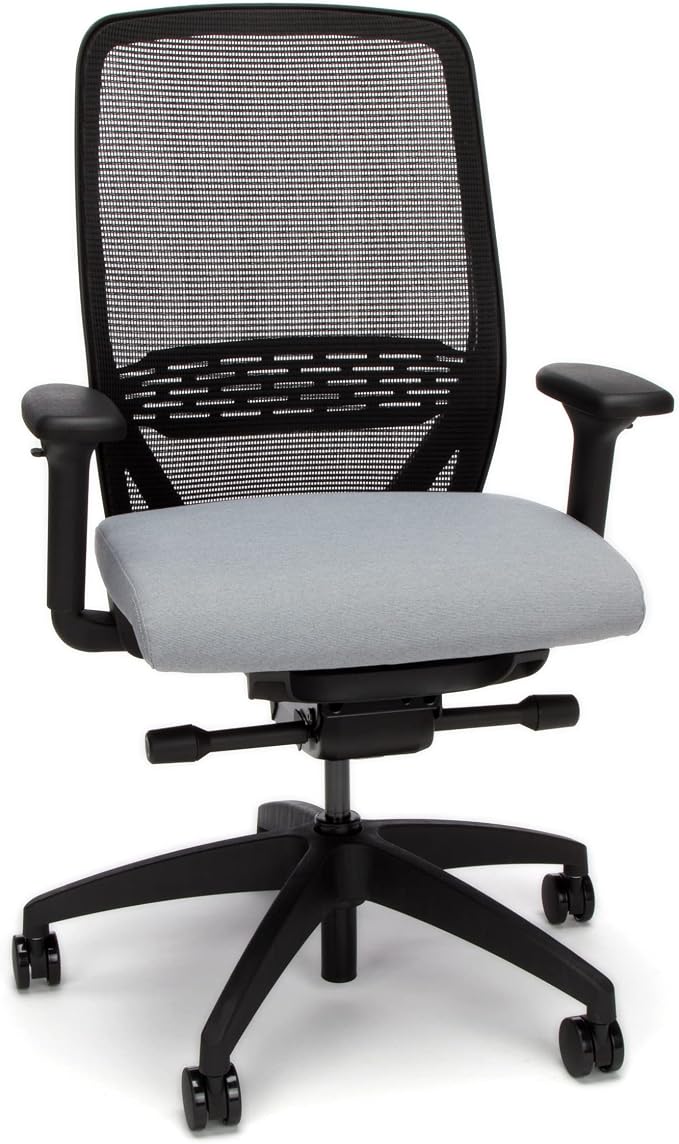 HON Nucleus Office Chair Ergonomic Desk Chair Suspended Seat Mesh Back for Home Office, Task Work - Synchro-Tilt Recline, Swivel Wheels, Adjustable Lumbar Support & Armrests, Black Frame, Gray