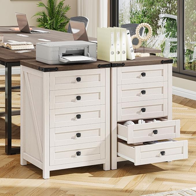 Halitaa 5 Drawer Storage Cabinet, Office Storage Cabinet with 5 Drawers, Small Farmhouse Printer Stand for Home Office, Rustic White and Brown