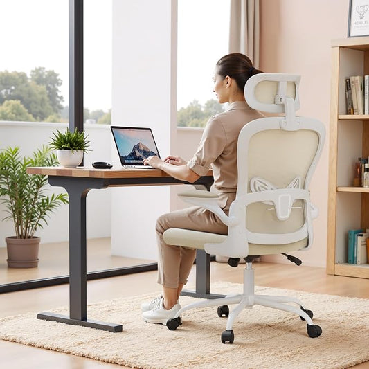 Homall Ergonomic Office Computer Chair，Computer Desk Chair with 3D Headrest Adjustable Lumbar Support，High Back Mesh Chair with Wheels for Office and Working from Home (Beige)