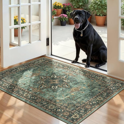 Lofus 2x3 Washable Rug for Entryway Bathroom, Non Slip Kitchen Mats for Floor, Vintage Soft Door Mat Indoor Entrance, Small Area Rugs, Farmhouse Carpet for Entry Living Room Bedroom, Green