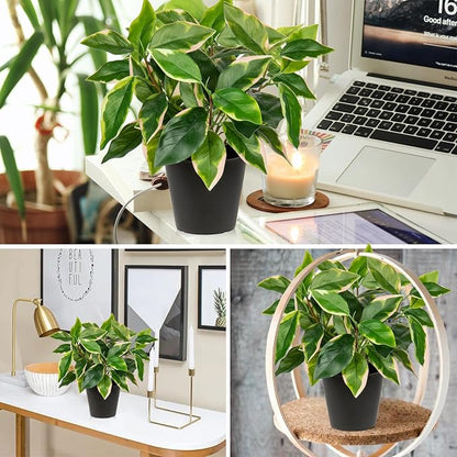 Oairse Artificial Plants Indoor Small Fake Plants in Pots Faux Pothos N‘ Joy Potted Plant Fake Indoor Plants with Black Pots for Bathroom Living Room Office Desk Shelves