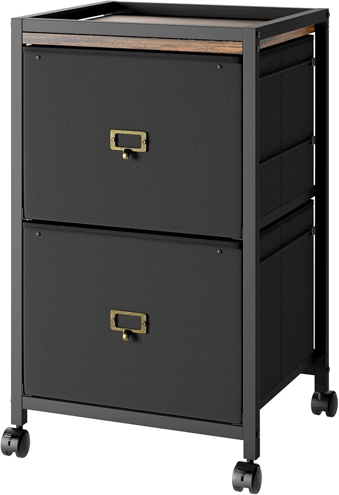 Garvee File Cabinet with 2 Drawers, Mobile Filing Cabinet Fits Letter Size or A4, Fabric Vertical File on Wheels, Home Office Small Under Desk Filing Storage Cabinets, Black