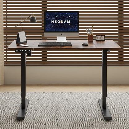 48 Inch Electric Standing Desk with USB Charging Port, Height Adjustable Sit Stand Desk with Memory Presets, Spacious Desktop and Sturdy Metal Frame for Home Office
