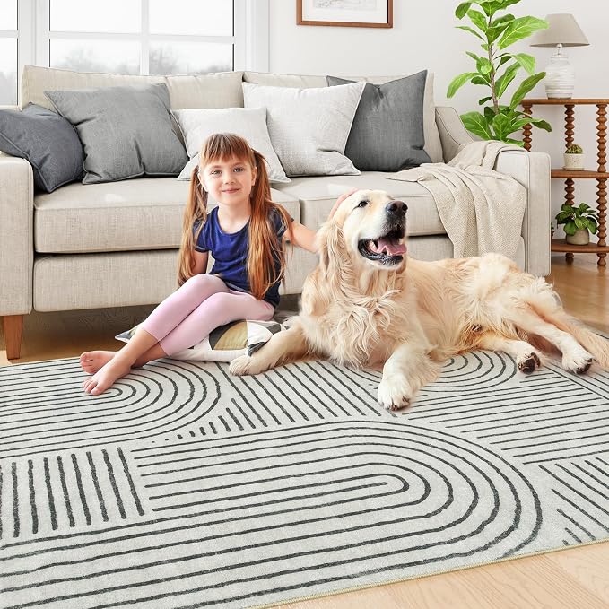 Lahome Abstract Bedroom Rug, Soft 4x6 Rug Ultra-Thin Washable Area Rugs for Living Room, Modern Black Rug Non-Slip Throw Carpet for Entryway Office Kitchen Darrell(4'x6',Black)