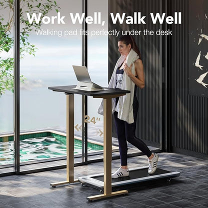 HUANUO 32" Small Electric Standing Desk Adjustable Height, 4 Memory Height Settings, Sit Stand Up Desk for Home Office & Computer Workstation, Black and Gold Frame