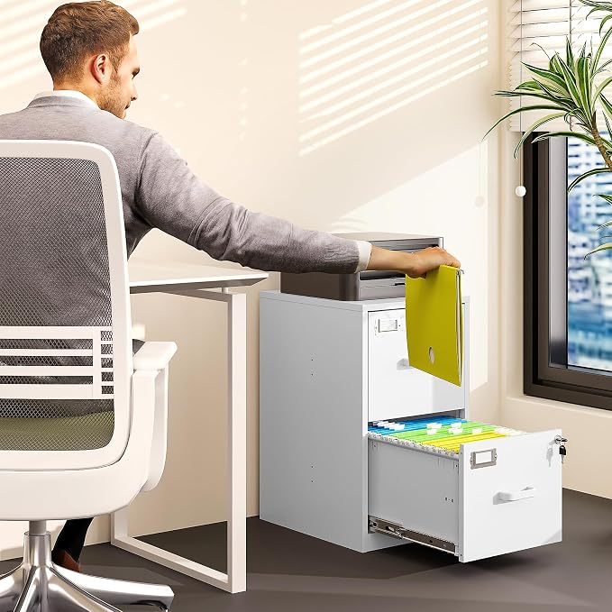 BYNSOE 2 Drawer File Cabinet with Lock Vertical Filing Storage Office Home Steel Vertical File Cabinets for Letter Size File Cabinet Locked,Assembly Required