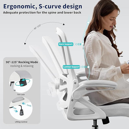 Ergonomic Office Chair, Desk Chair with Adjustable Lumbar Support, Breathable Mesh Comfy Computer Chairs with Flip-up Armrests Executive Task Chair for Adults Home Office(Gray)