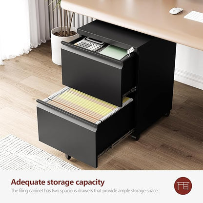 RAVIGIN 2 Drawer File Cabinet，Mobile Filing Cabinet with Lock and Wheels，Fully Assembled Metal Under Desk File Cabinets for A4/Letter/Legal Size（Black