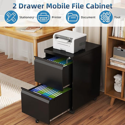 2 Drawer Mobile File Cabinet with Lock, Metal Small Filing Cabinets for Home Office Organizer,Rolling Filing Cabinets Under Desk Storage for Letter/Legal/A4,Assembly Required,Black