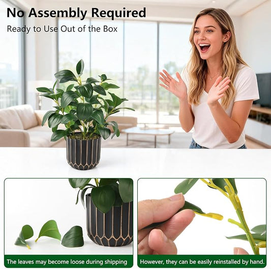 florisso Artificial Succulents with Fig Leaf Greenery in Black & Gold Planter, Fake Succulents Potted Decor for Farmhouse, Bathroom, Bedroom, Kitchen, Office Desk and Coffee Table (Black Gold)