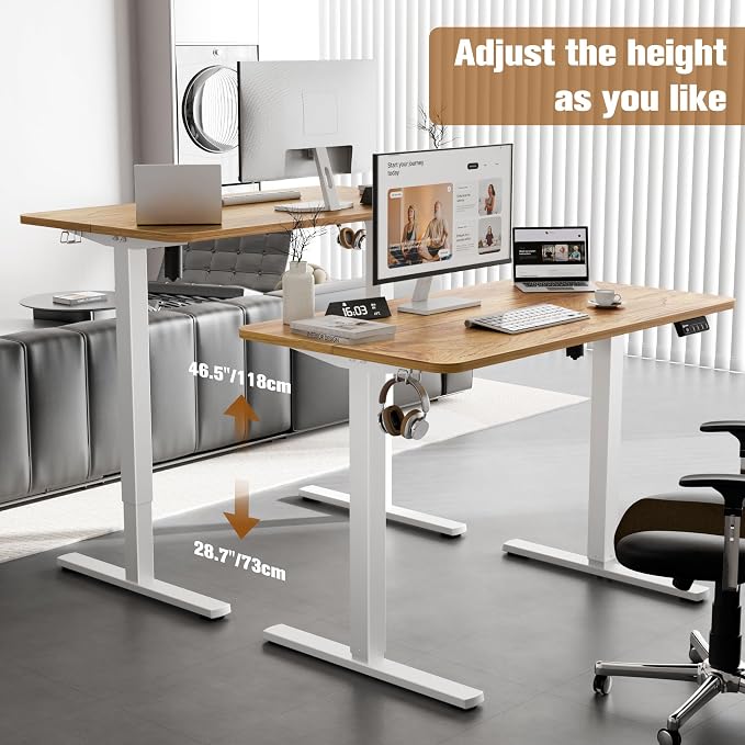 ERGOMAKER 43" Electric Standing Desk, Adjustable Height, Sit Stand Up Desk for Home Office & Computer Workstations, Memory Controller, Light Rustic Brown