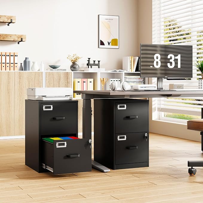 2-Drawer File Cabinet with Lock, Small Filing Cabinet Organizer for Hanging A4/Letter/Legal Size Folder, Under Desk Vertical Filing Cabinets for Home Office, Printer Stand, Black