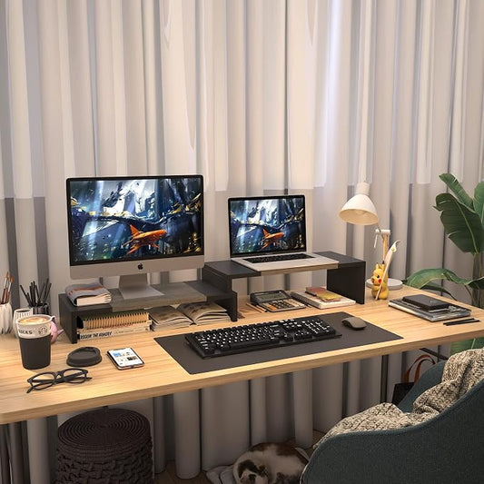 WESTREE Dual Monitor Stand Riser - 2 Shelf Computer Stand with Adjustable Length and Angle, Desktop Organizer for 2 Monitors