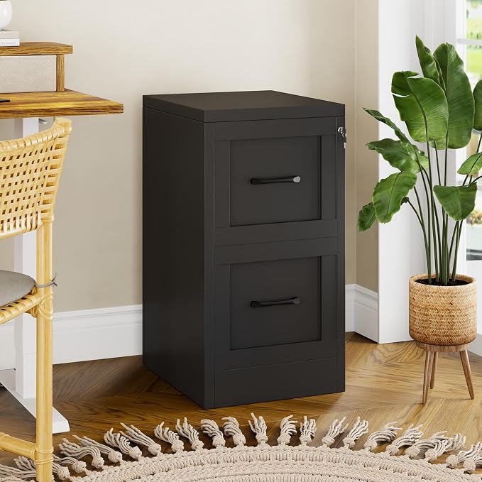 Small Metal 2-Drawer File Cabinet, Under-Desk Filing Cabinet, Black | Locking, Adjustable Hanging Rail, Fit A4, FC, Letter, Hanging File Folders for Home Office Storage Organization, 1PS